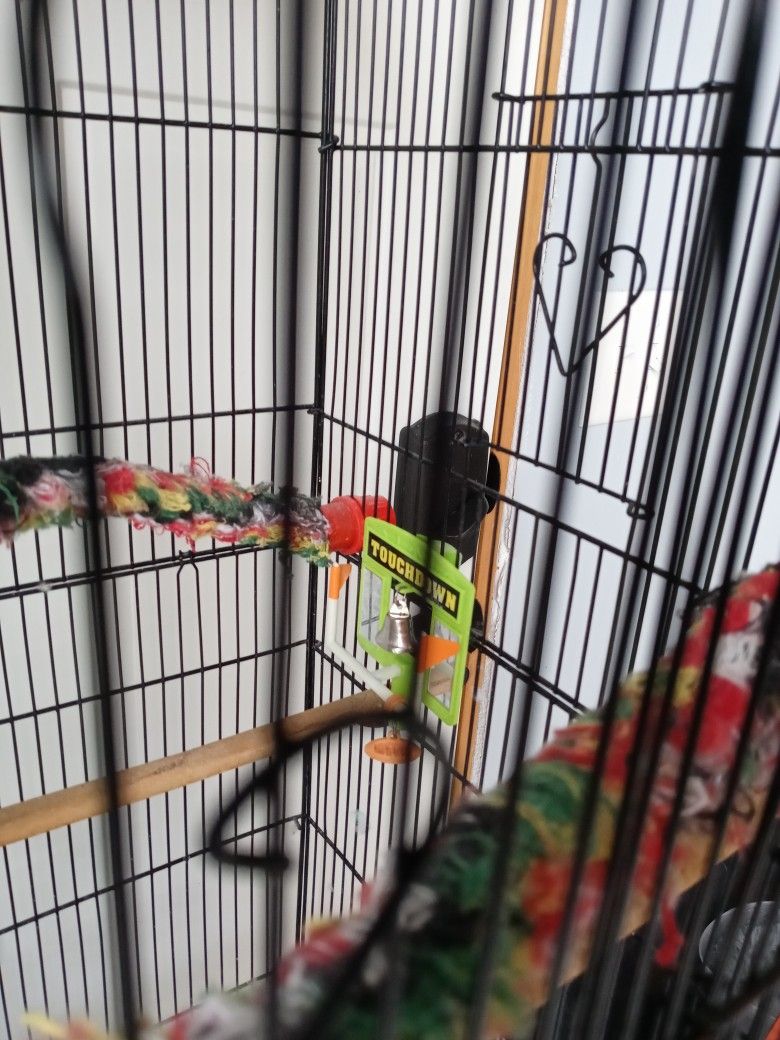 Bird Cage