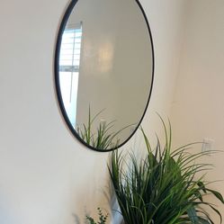 Mirror And Plants 
