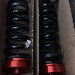 TRX stock front springs