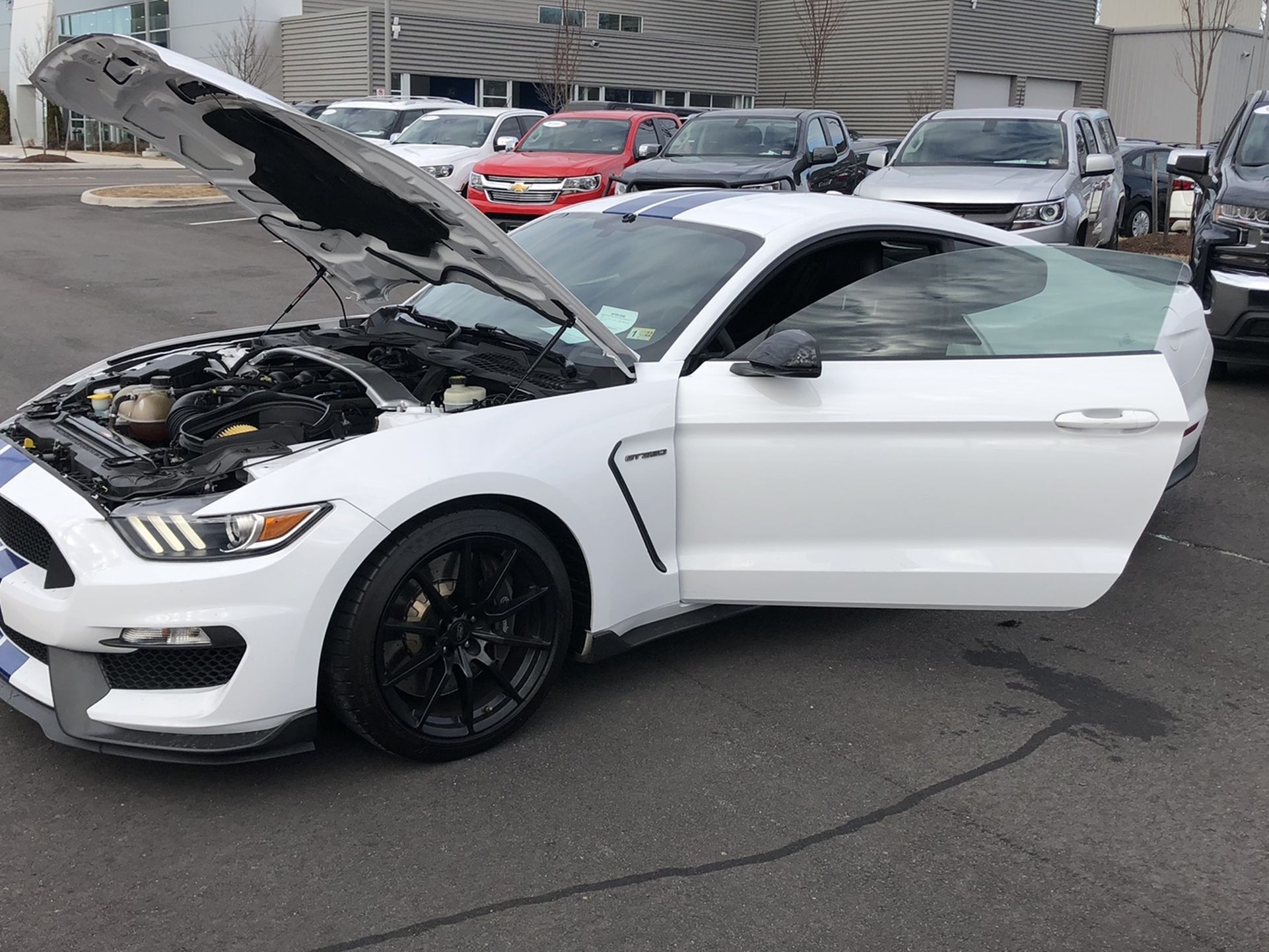 2017 Ford Shelby Gt350