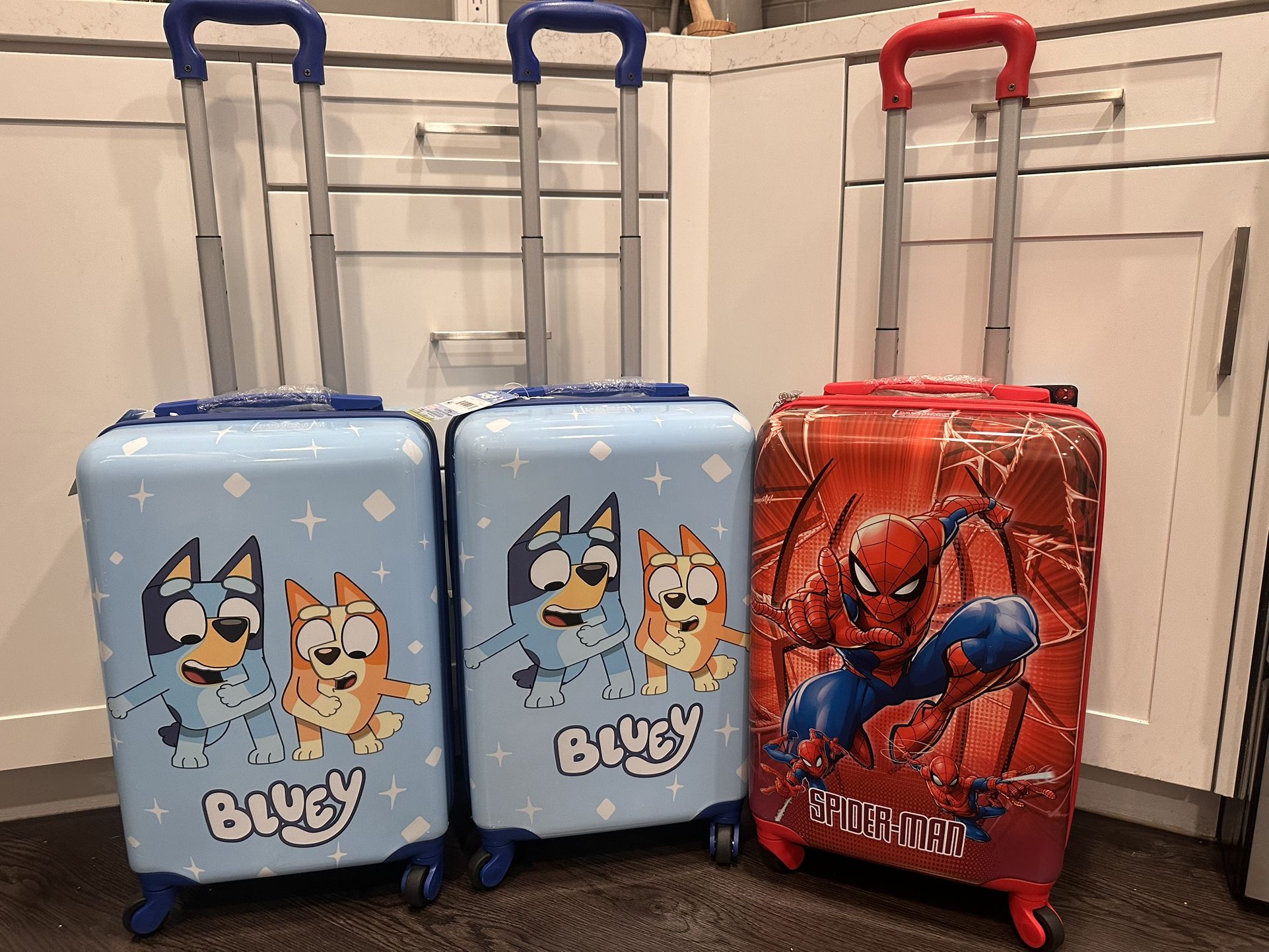 Brand New Luggages