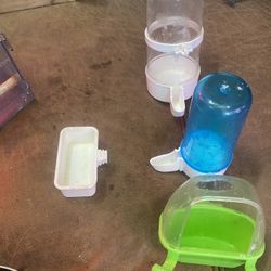 Bird Feeders For Cage Birds 