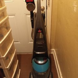 Bissell Deep Clean ProHeat 2X Professional Pet