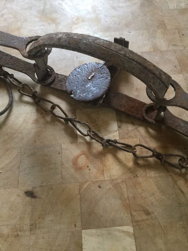 Vintage antique animal trap for Sale in Scappoose, OR OfferUp
