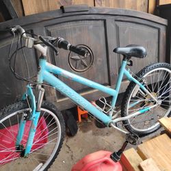 Women's Bike 26 Inch