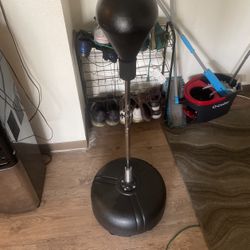 Boxing Standing Punching Bag