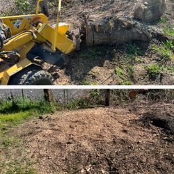 Stump Grinding For Sale 