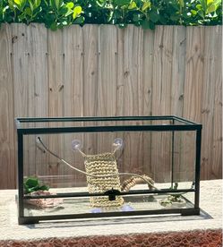 Glass Reptile Terrarium w/ Accessories
