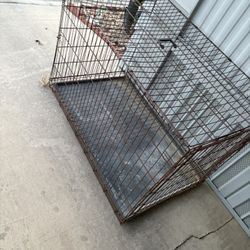 Big Dog Kennel 