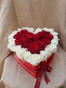 Roses