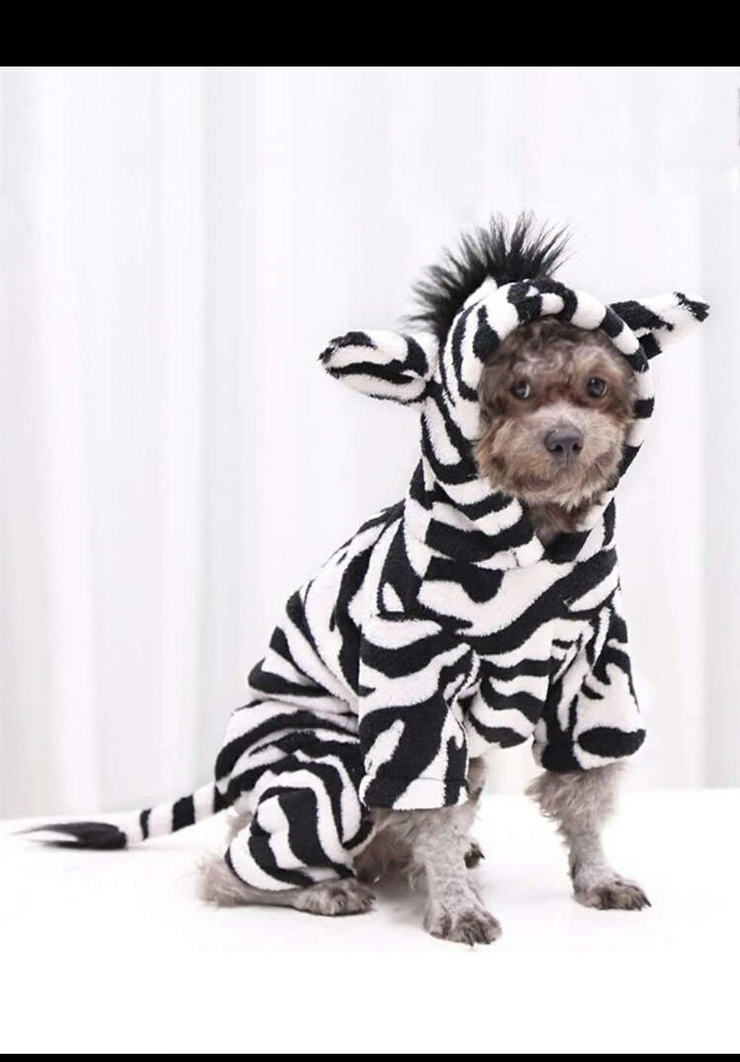 I bought this for my dog (pitbull) and this was meant for smaller dogs
