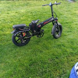 Walkie Two Wheel Drive Electric Bicycle 