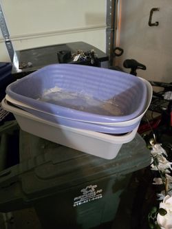 Cat Litter