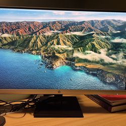 HP Computer Monitor For Dual Screen 