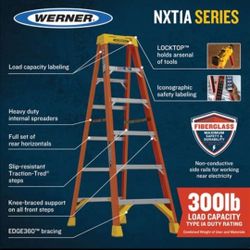 10ft Werner 300 Lb Latter 