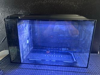 Fluval Sea Evo 13.5 Gal AIO upgraded