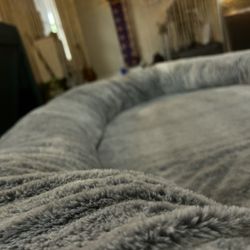 DOG BED FOR HUMANS (It’s So Dang Comfy) 
