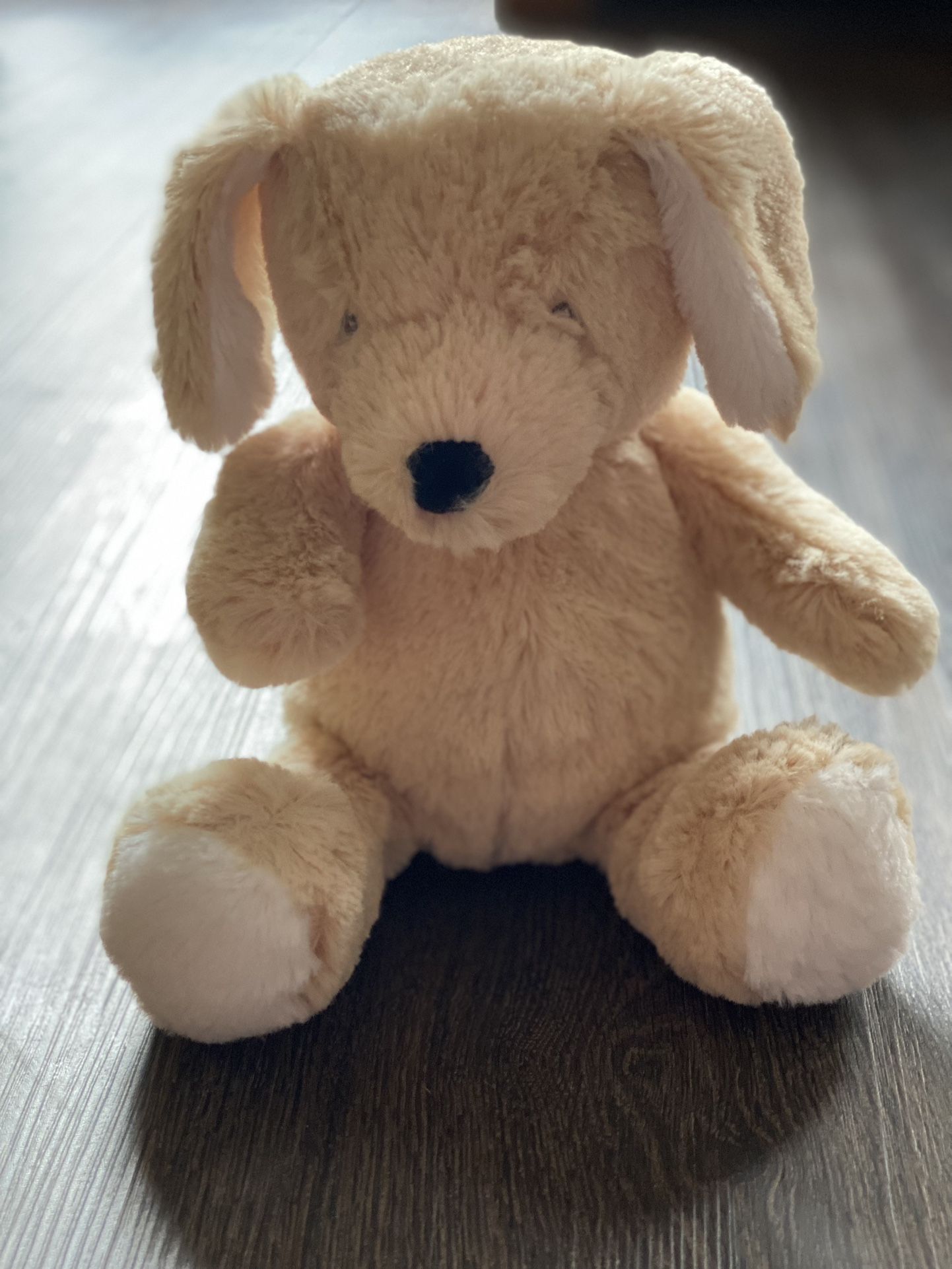 Carters Puppy Dog Baby Lovey Tan Stuffed Animal Golden Retriever Plush