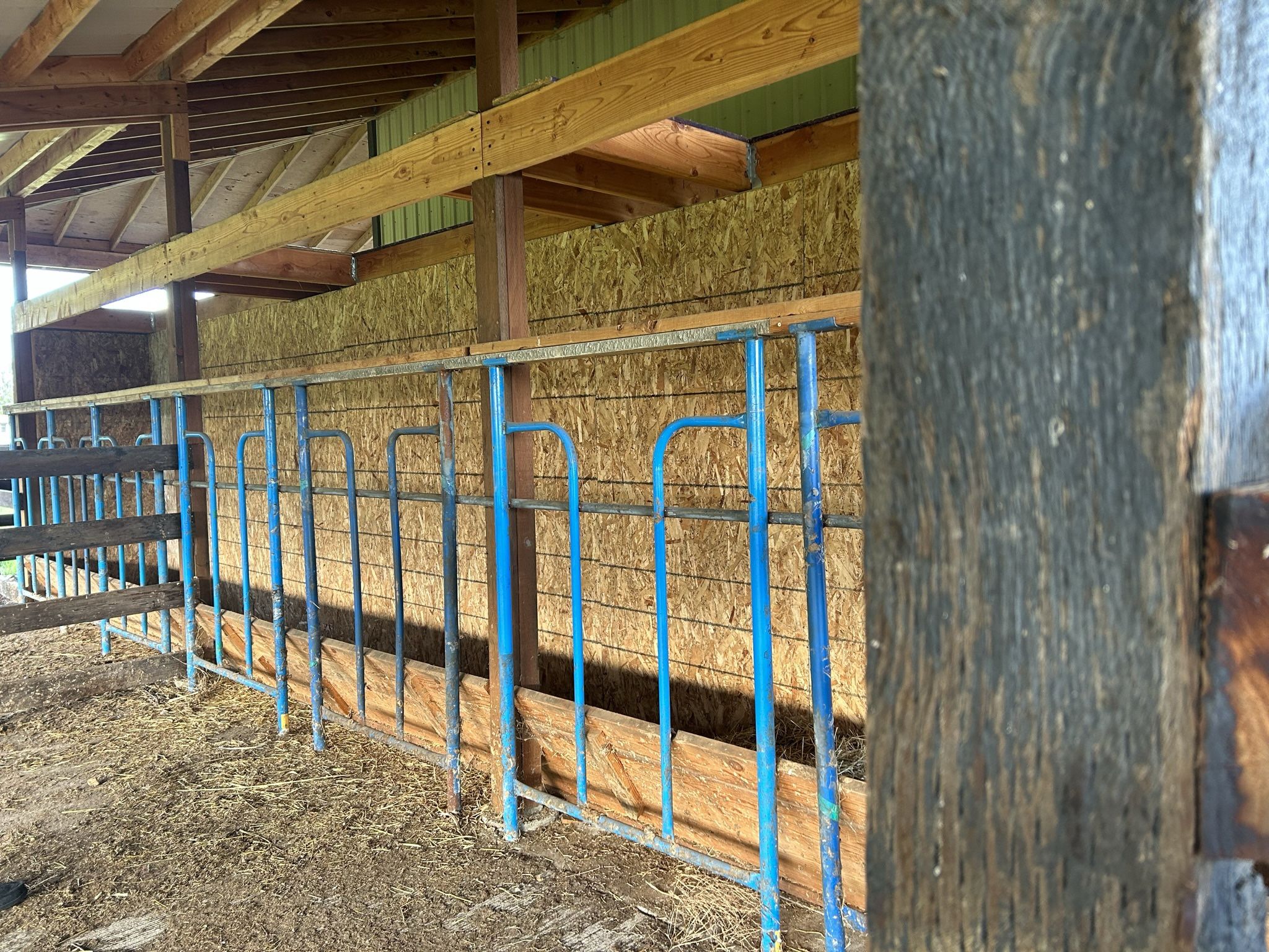 Cattle Barn Feeding Bars 