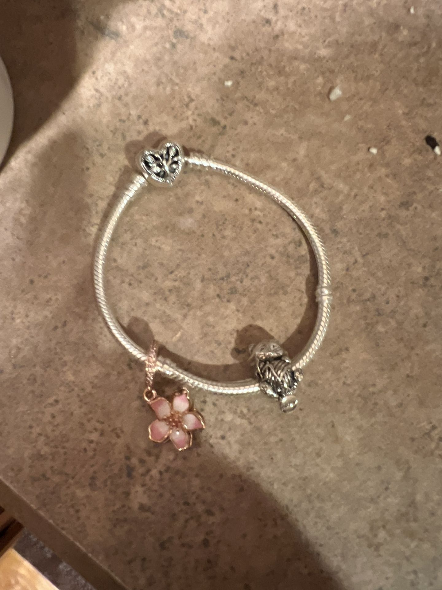 Pandora Charm Bracelet