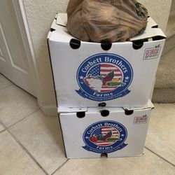 Free Green Peppers & Potatoes 
