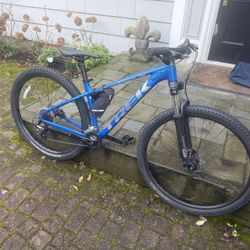 Trek Large Mountain Bike