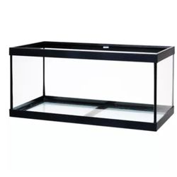 Fish tank with stand