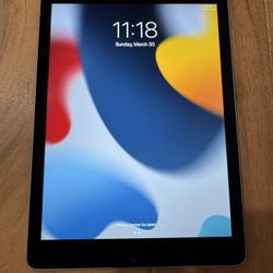 iPad Air2 