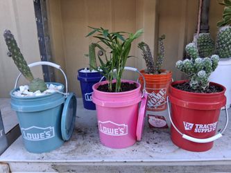 Mini Plant Bucket