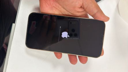 iPhone 13 Pro Max unlocked