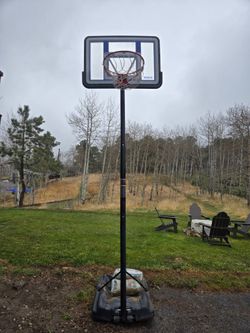 FREE  Lifetime Basketball Hoop