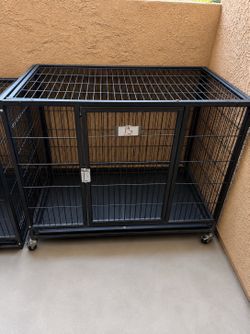 Doggy kennel