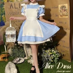 Alice In Wonderland Dress And Bow