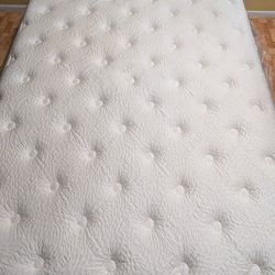 🛏️ Sleep Inc Qu,een Mattre,ss – 14” Pillowtop – Medium Firm.