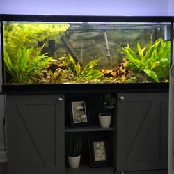 Marineland 75g Aquarium 