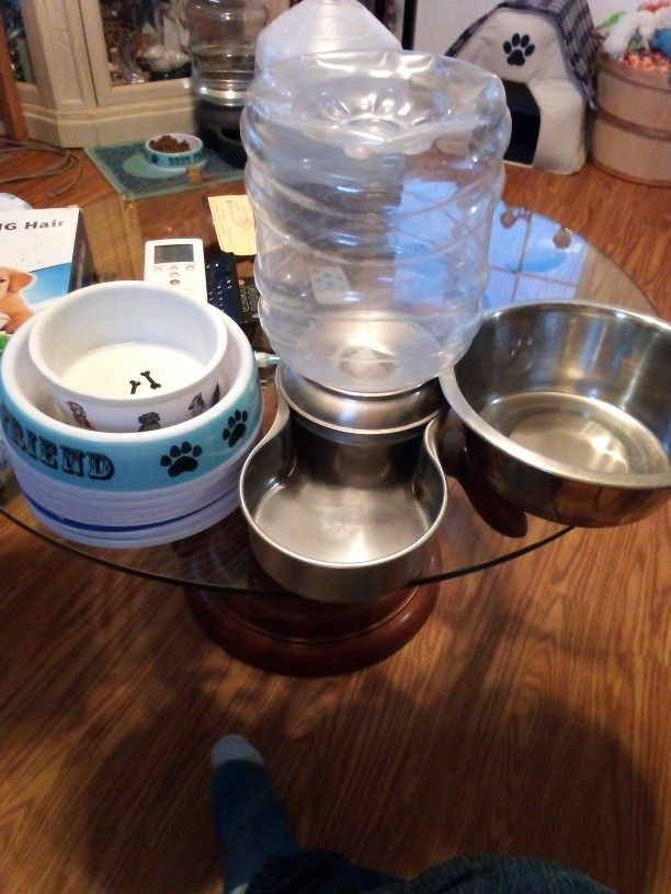 Dog Bowls