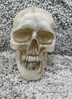 Rare Vintage Realistic Halloween Skull Head Prop Spooky Creepy Electronic