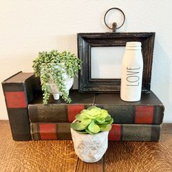 Vintage Decor Books, Frame, Faux Ceramic Plants, Rae Dunn Love Vase Bundle Of Nine Items 
