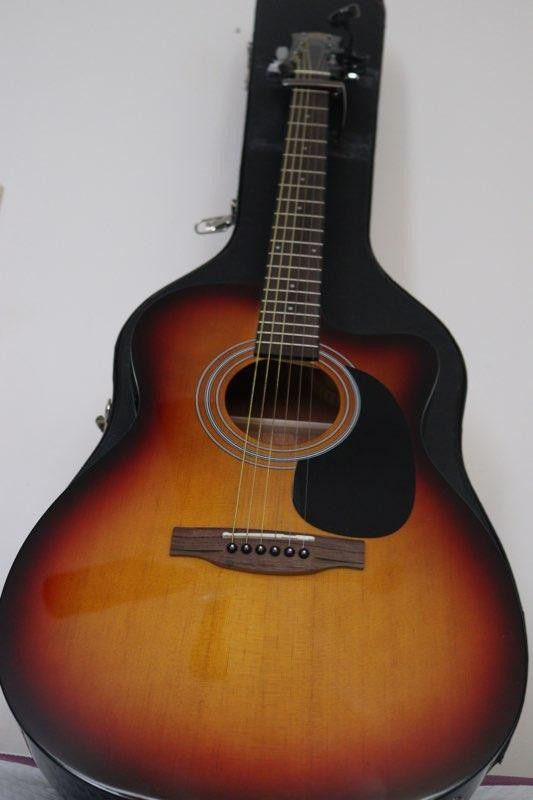 Laurel canyon la- acoustic electric guitar