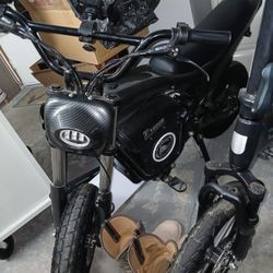 Electric Bike