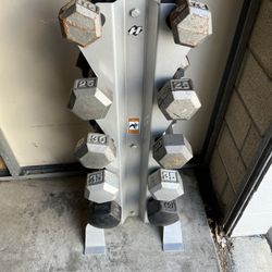 Dumbbell Weights with Stand