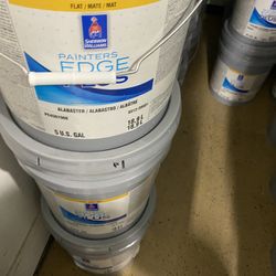 Pintura Blanca Y De Color 