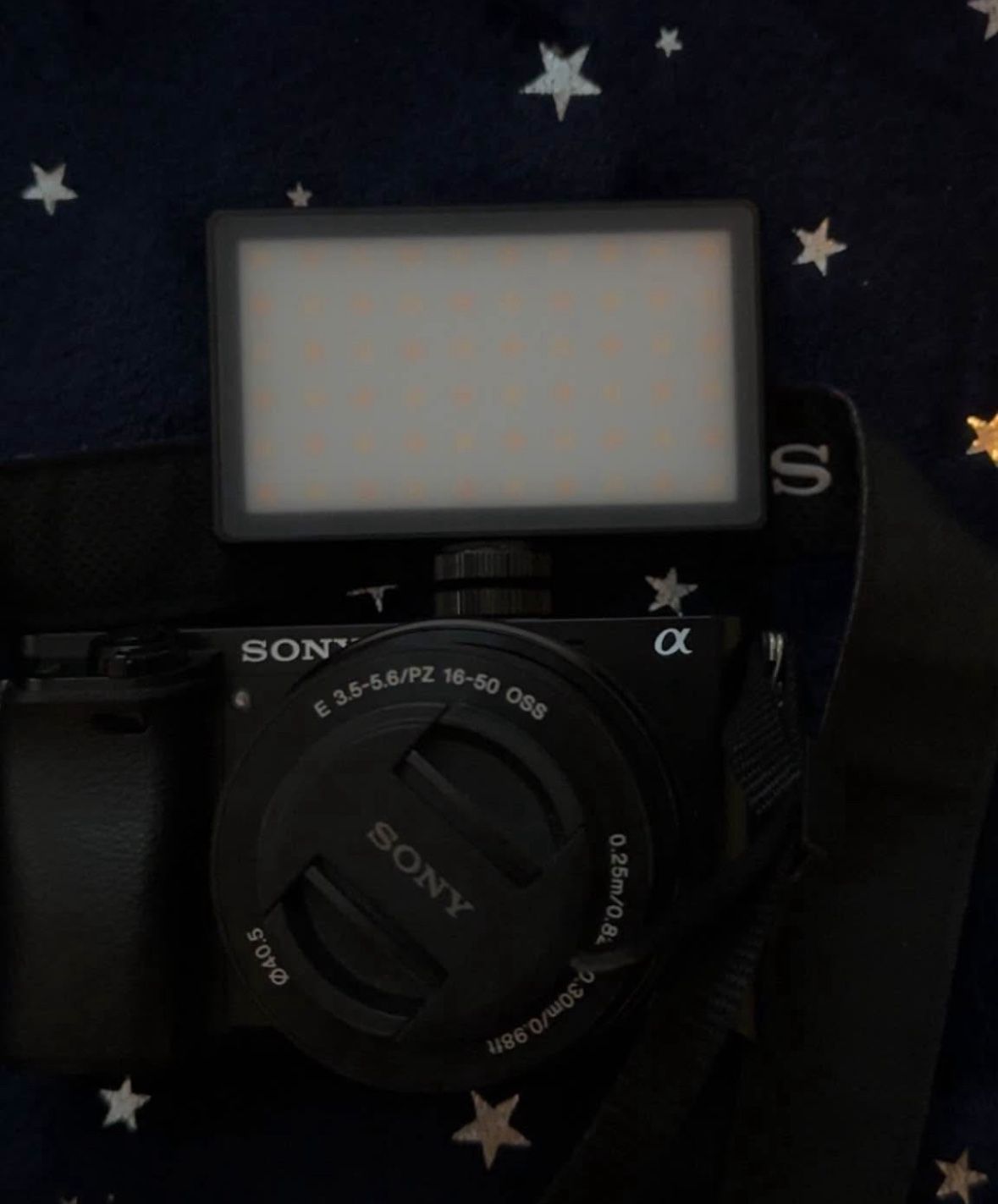 SONY A600 And  Extras 