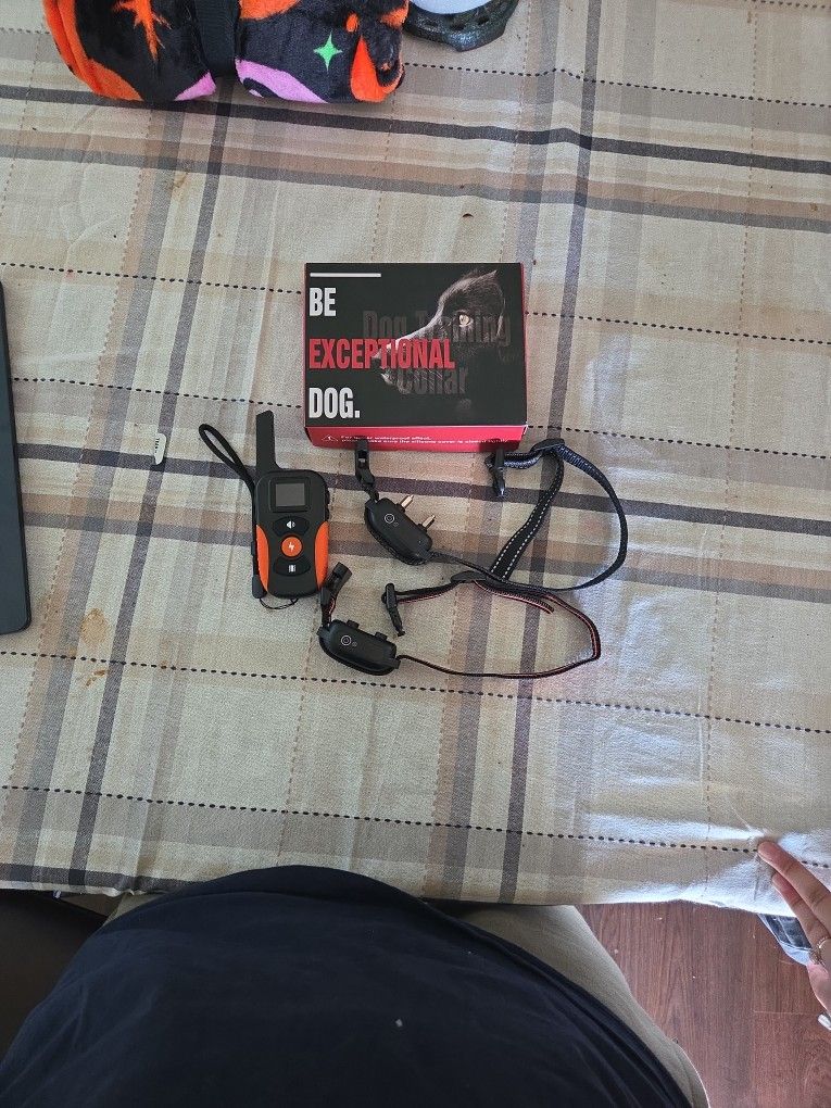 2 Dog Training Collars