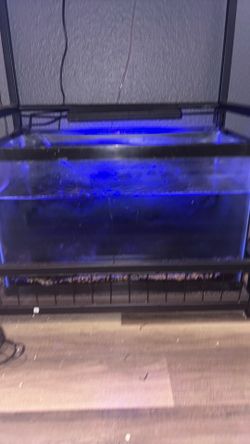 10 gal
