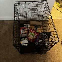 Dog Stuff