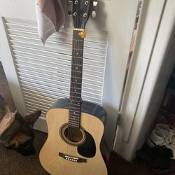 Acoustic Guitar 