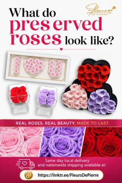 Preserved Roses