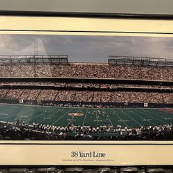 New York Giants Panoramic 38 Yard Line View At The Meadowlands 