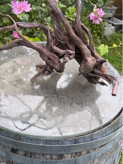 Aquarium centerpiece wood